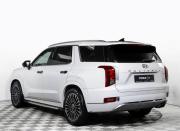 Hyundai Palisade I Москва  - изображение 40