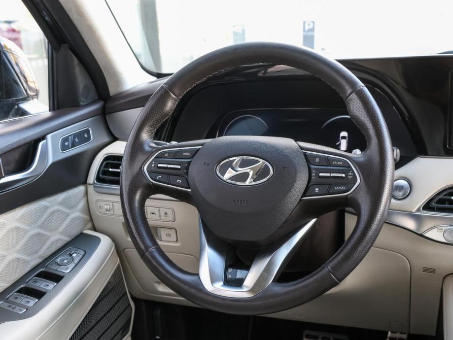 Hyundai Palisade I Москва  - изображение 19