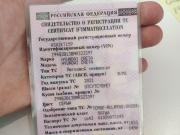 Hyundai Creta I Рестайлинг Ижевск  - изображение 38