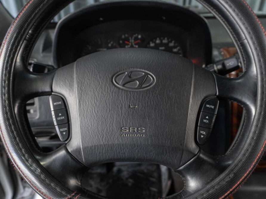Hyundai Terracan I Тюмень  - изображение 13