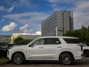 Hyundai Palisade I Москва  - изображение 33