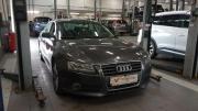 Audi A5 I (8T) Санкт-Петербург  - изображение 9