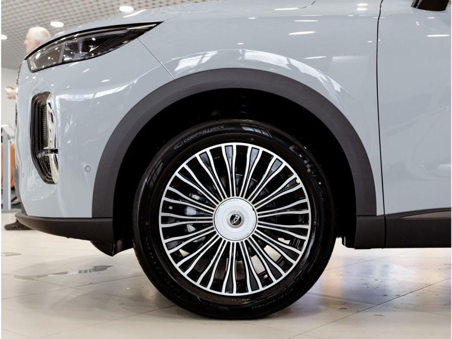 Chery Tiggo 9 I Новосибирск  - изображение 9