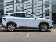 JETOUR DASHING I Краснодар  - изображение 27