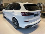 BMW X5 IV (G05/G18) Краснодар  - изображение 20