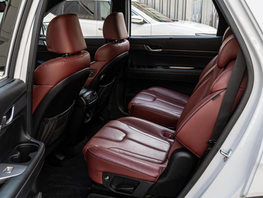 Hyundai Palisade I Краснодар  - изображение 13