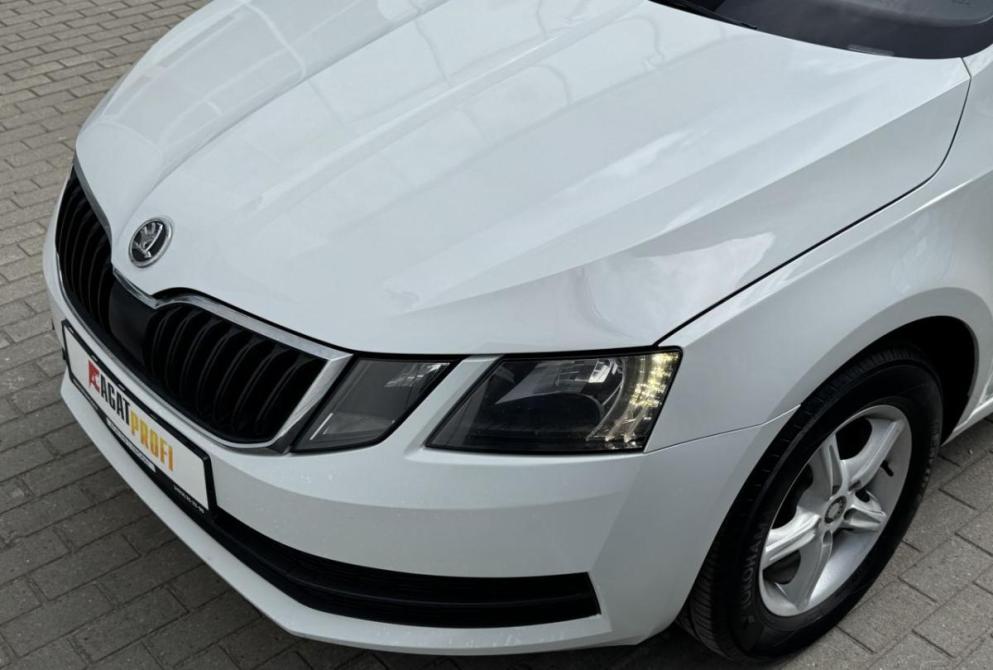 Skoda Octavia III (A7) Владимир  - изображение 21