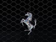 Ferrari Purosangue Москва  - изображение 81