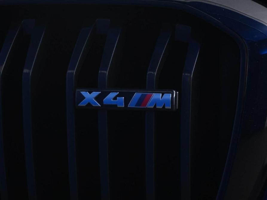 BMW X4 M I (F98) Рестайлинг Москва  - изображение 8