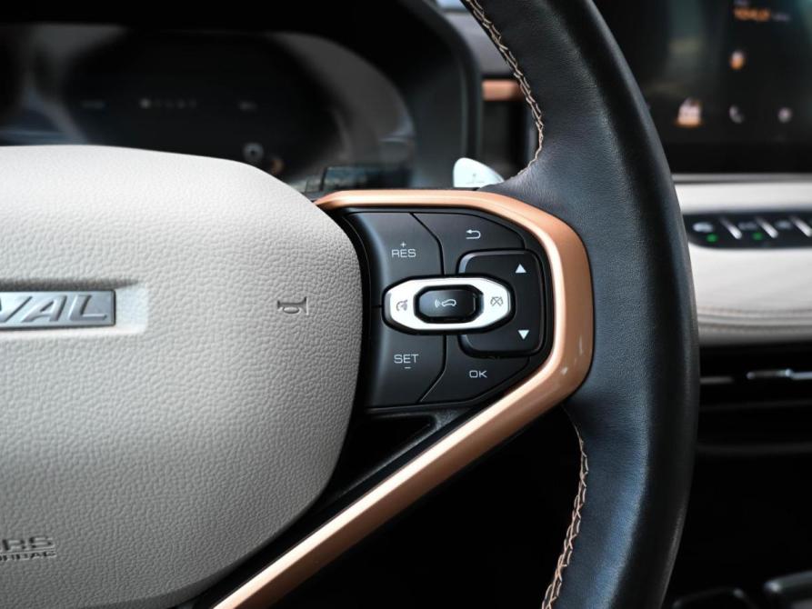Haval Jolion I Новороссийск  - изображение 15