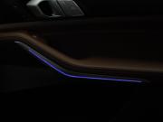BMW X7 I (G07) Москва  - изображение 55