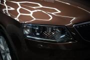 Skoda Octavia III (A7) Крым  - изображение 59