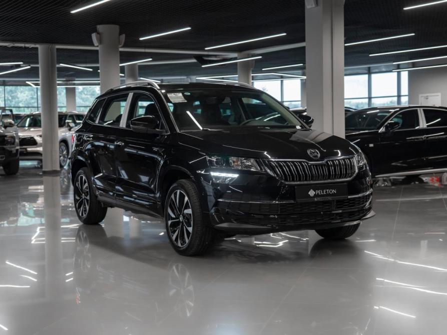 Skoda Karoq I Москва  - изображение 2