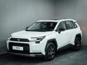 Toyota RAV4 VI (XA60) Челябинск  - изображение 42