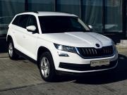 Skoda Kodiaq I Екатеринбург  - изображение 26