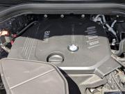 BMW X4 II (G02) Москва  - изображение 39