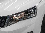 Skoda Kamiq I (China Market) Москва  - изображение 43
