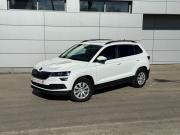 Skoda Karoq I Нижний Новгород  - изображение 19