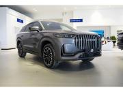 Jaecoo J8 Саратов  - изображение 14