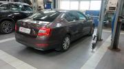 Skoda Octavia III (A7) Санкт-Петербург  - изображение 8