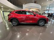 Lexus NX II Казань  - изображение 27