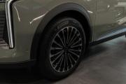 Exeed RX Москва  - изображение 28