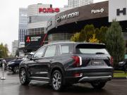 Hyundai Palisade I Москва  - изображение 31