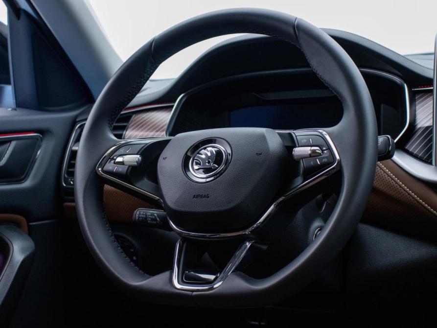 Skoda Kodiaq I Рестайлинг Москва  - изображение 15