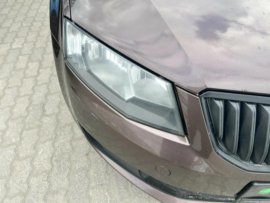 Skoda Octavia III (A7) Череповец  - изображение 4