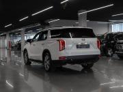 Hyundai Palisade I Москва  - изображение 32