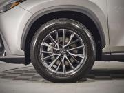 Lexus NX II Санкт-Петербург  - изображение 39