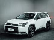 Toyota RAV4 VI (XA60) Челябинск  - изображение 41
