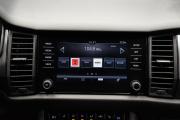 Skoda Kodiaq I Крым  - изображение 45