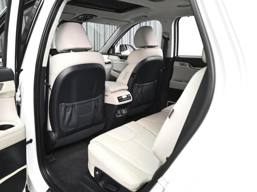 Hyundai Palisade I Рестайлинг Ставрополь  - изображение 13