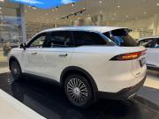Chery Tiggo 9 I Нижний Новгород  - изображение 28