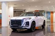 Hongqi HS3 Нижний Новгород  - изображение 21