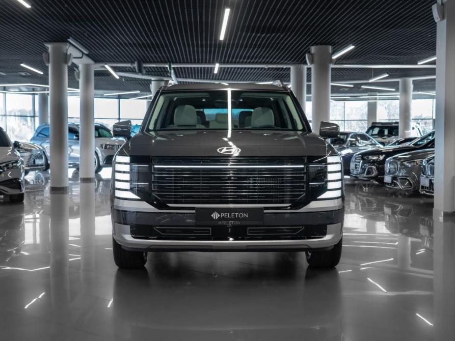 Hyundai Palisade II Москва  - изображение 3