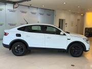 Renault Arkana I Москва  - изображение 21