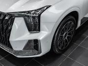 GAC GS8 II Москва  - изображение 23