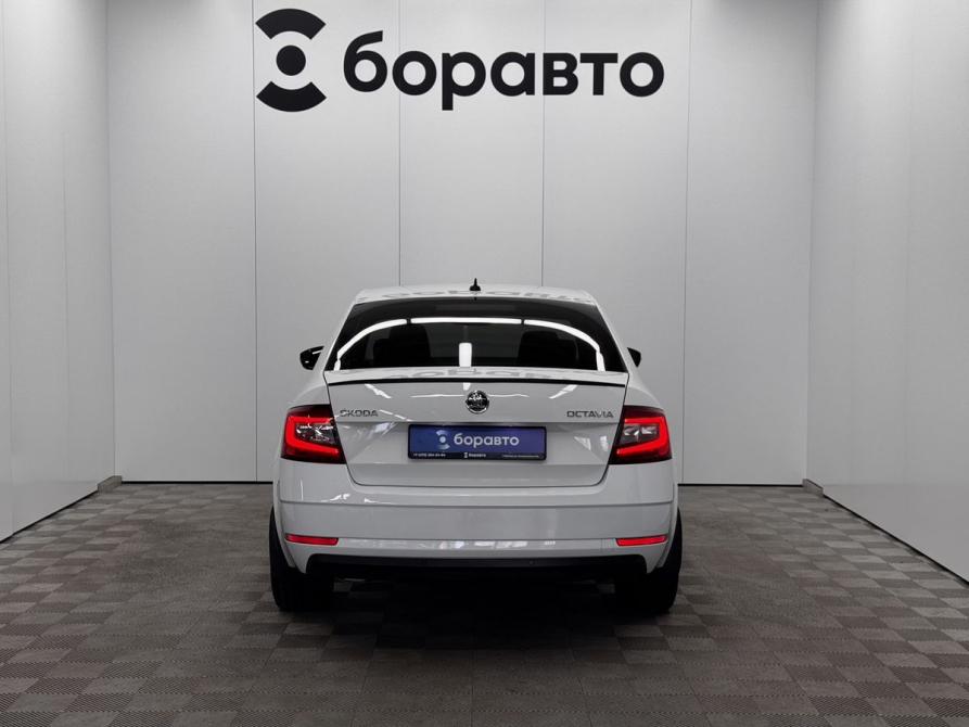 Skoda Octavia III (A7) Рестайлинг Воронеж  - изображение 5