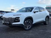 JETOUR DASHING I Санкт-Петербург  - изображение 28