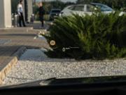 BMW 1 серии III (F40) Краснодар  - изображение 44