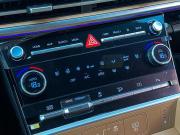 Hyundai Santa Fe V (MX5) Москва  - изображение 57