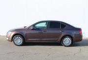 Skoda Octavia III (A7) Нижний Новгород  - изображение 27