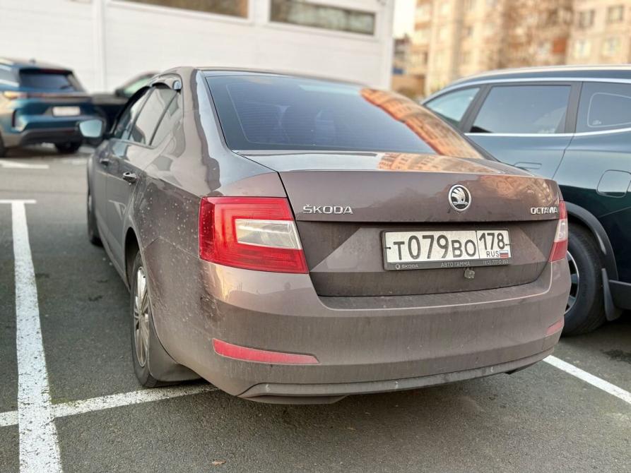 Skoda Octavia III (A7) Санкт-Петербург  - изображение 4
