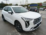 Haval Jolion I Тула  - изображение 19