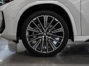 BMW X1 III (U11/U12) Москва  - изображение 60