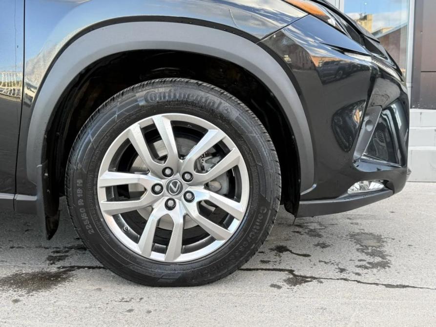 Lexus NX I Рестайлинг Новосибирск  - изображение 12