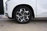 Hyundai Palisade I Крым  - изображение 81