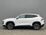 JETOUR DASHING I Тамбов  - изображение 25